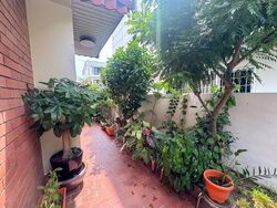 West Coast Gardens (D5), Terrace #532188971